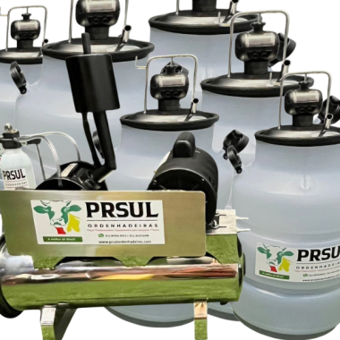 ORDENHADEIRA FIXA BALDE AO PÉ BV 700 LT