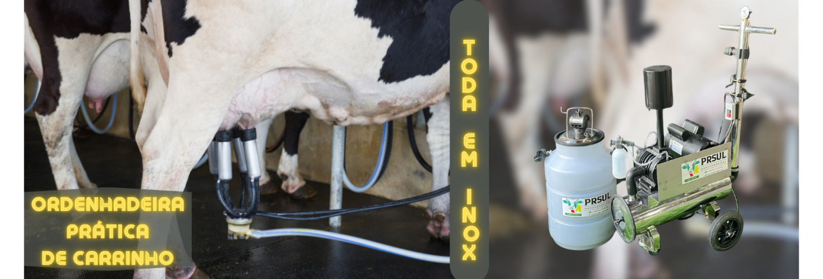 ordenha pratica